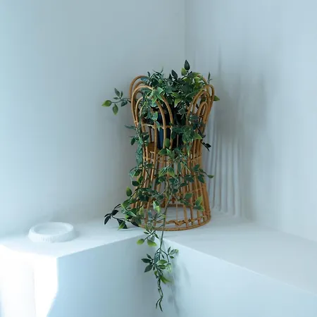 Mare I - In Old Harbor *