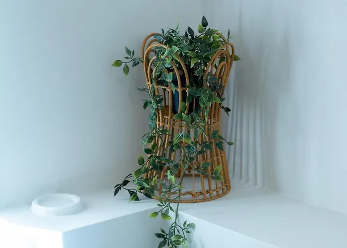 Mare I - In Old Harbor *